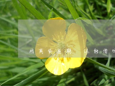 网商贷逾期 还能借吗 网商贷逾期 还能借吗